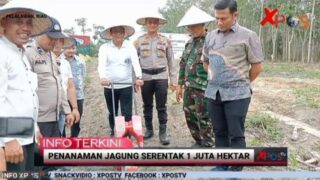 Pemdes Tanjung Beringin Tanam Jagung Serentak Wujud Nyata Dukung Program Asta Cita Presiden RI
