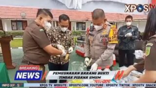 Kejari Pelalawan Musnahkan Barang Bukti 60 Perkara Tindak Pidana Umum