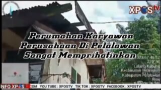 Diduga Perusahaan PT. IIS Kebun Buatan Belum Memperhatikan Kesejahteraan dan Kesehatan Karyawannya.