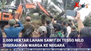 Warga Serahkan 3.000 Hektar Lahan Sawit di Kawasan TNTN Ke Negara