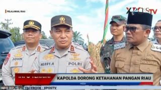 Kapolda Riau Hadiri Panen Jagung di Pelalawan, Dorong Swasembada Pangan Nasional