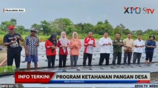 Pemdes Bagan Limau Tanam Cabai untuk Perkuat Ketahanan Pangan