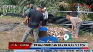 Pemkab Pelalawan Siapkan 5,5 Ton Ikan Sambut Tahun Baru Islam 1448 Hijriah